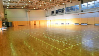 屋内運動場１（壁面がマットになっています。）