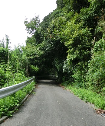 フットサルコート通路