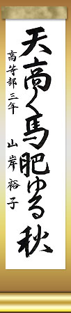 VnH