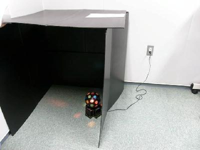 車椅子から花を楽しめるラティス 簡単にできる一人暗室